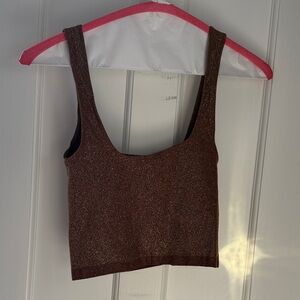 Anthropologie Shimmering Brown Crop Top